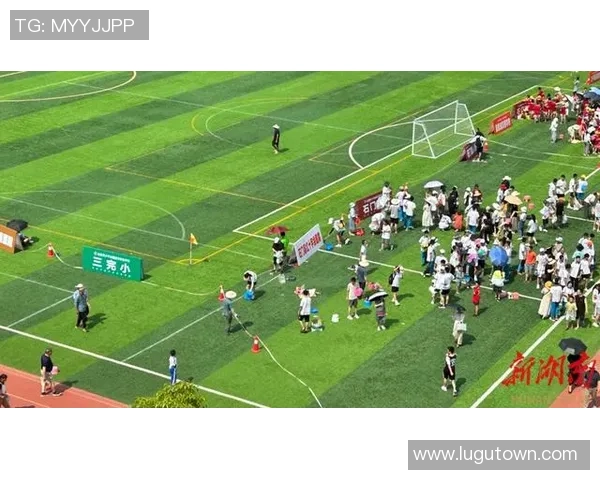 足球智慧树下的成长之路探寻与启迪的多维视角