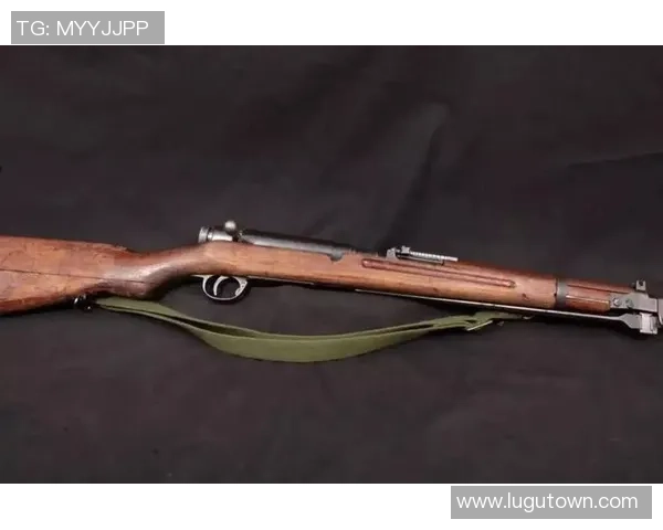 足球大师萨默尔的卓越能力与战术智慧解析